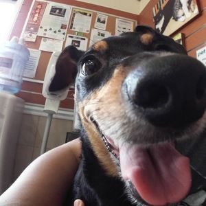 Meet your Posher, Maria